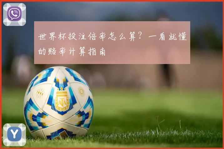 世界杯投注倍率怎么算?一看就懂的赔率计算指南