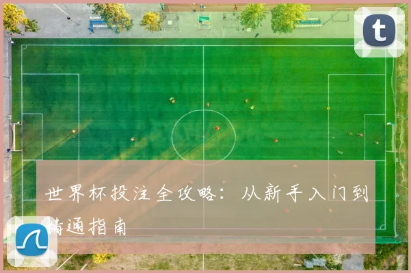 世界杯投注全攻略:从新手入门到精通指南