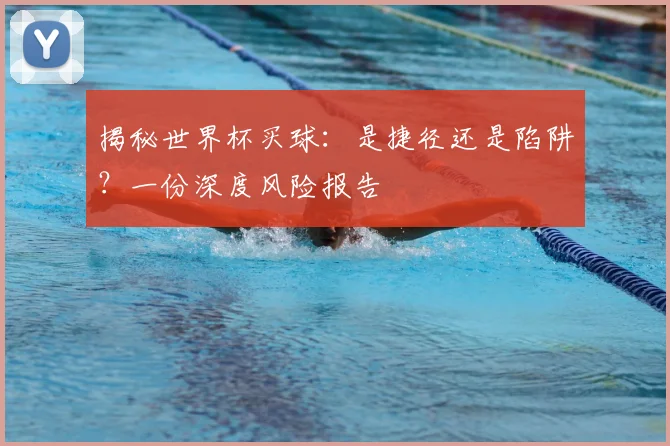 揭秘世界杯买球:是捷径还是陷阱?一份深度风险报告