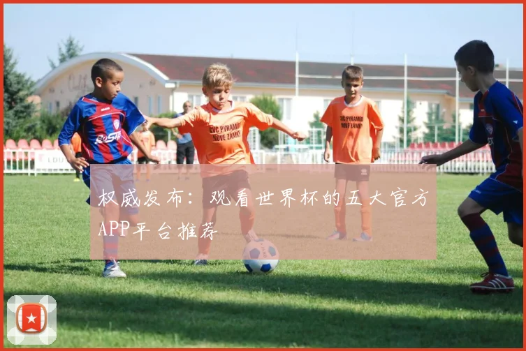 权威发布：观看世界杯的五大官方APP平台推荐